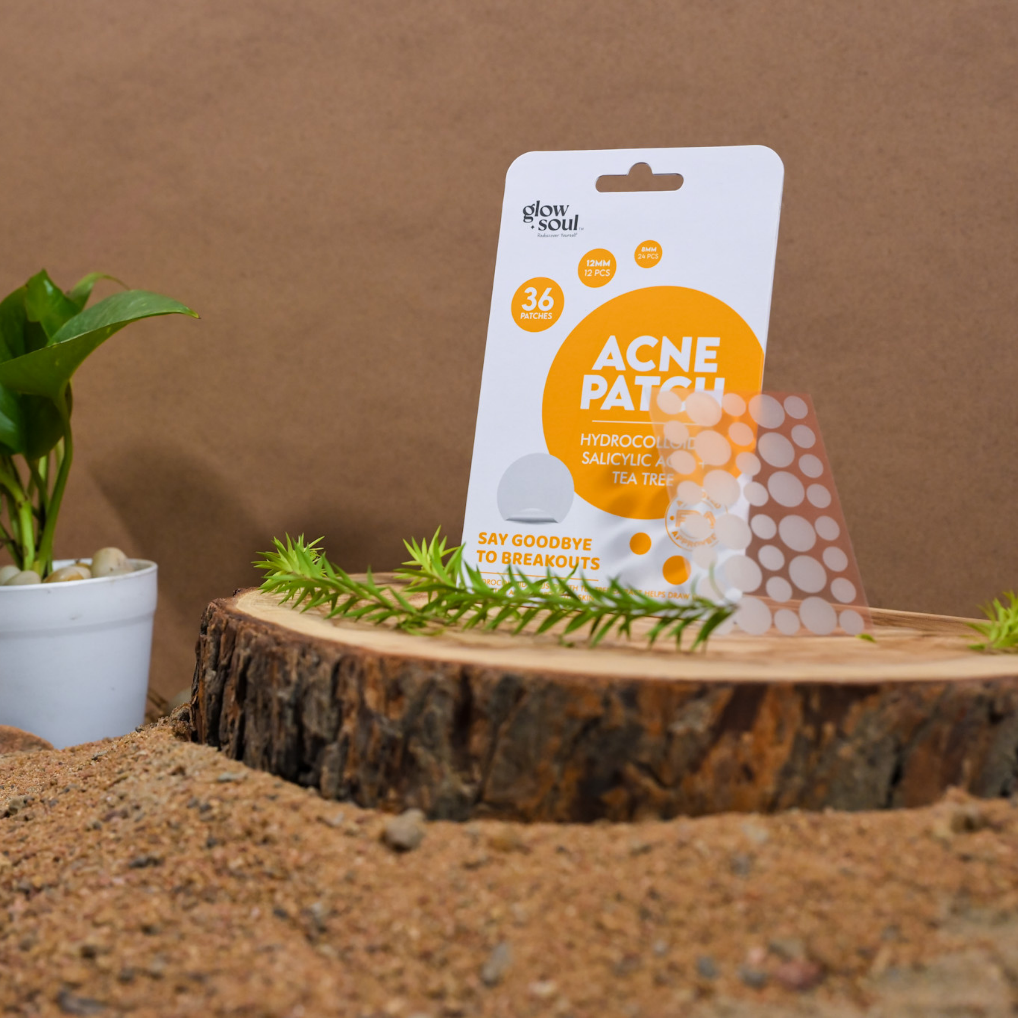 Tea Tree infused Acne Patches With Hydrocolloid + Salicylic Acid (36 Patches)